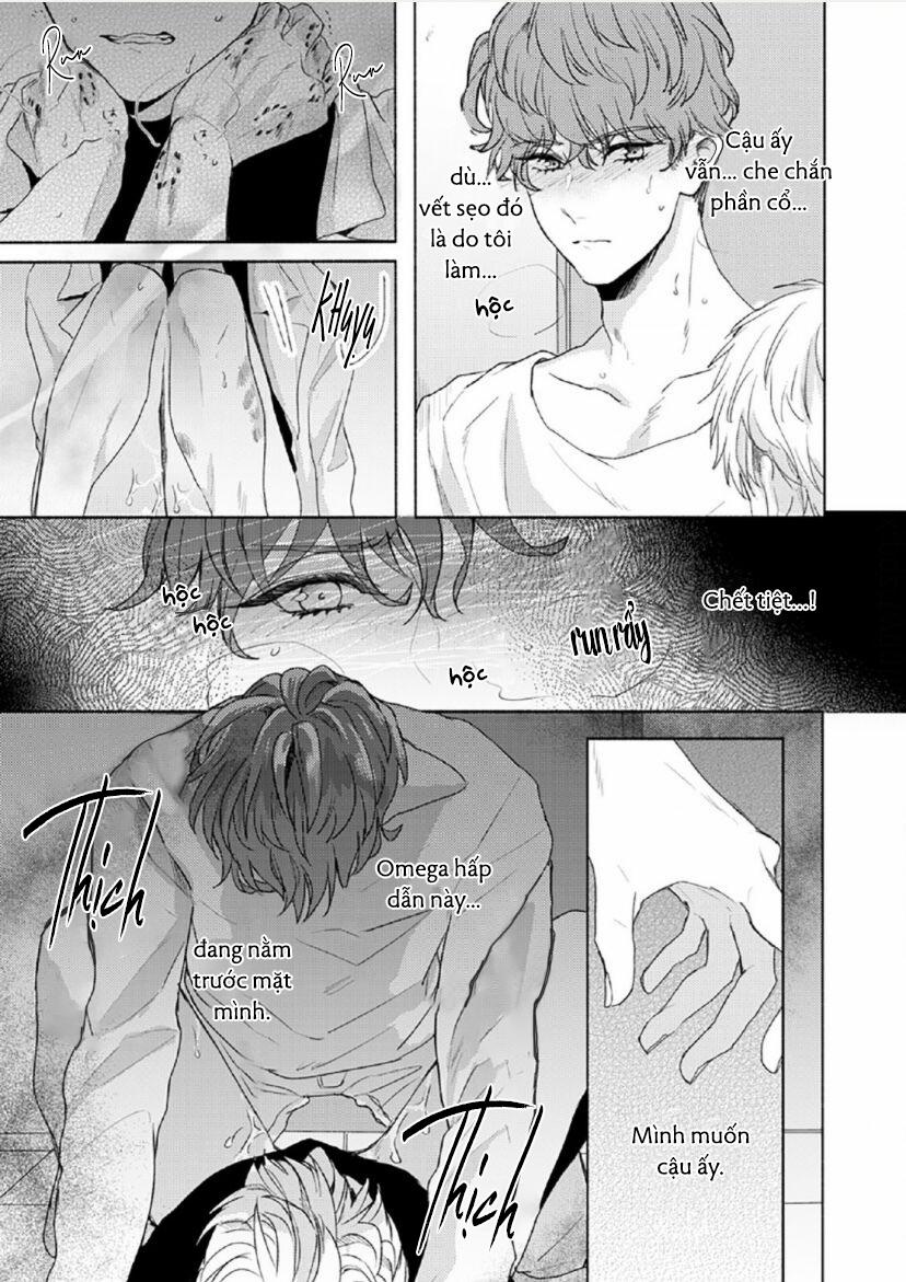 Vết Cắn Tình Đầu 3 trang 18