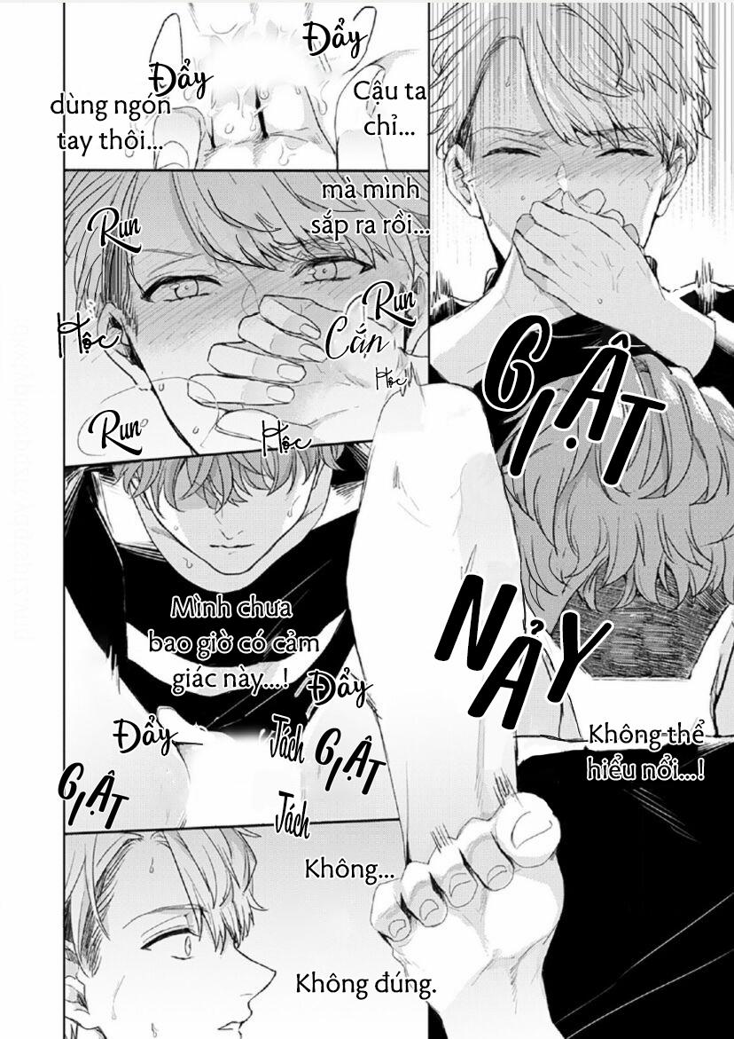 Vết Cắn Tình Đầu 3 trang 3