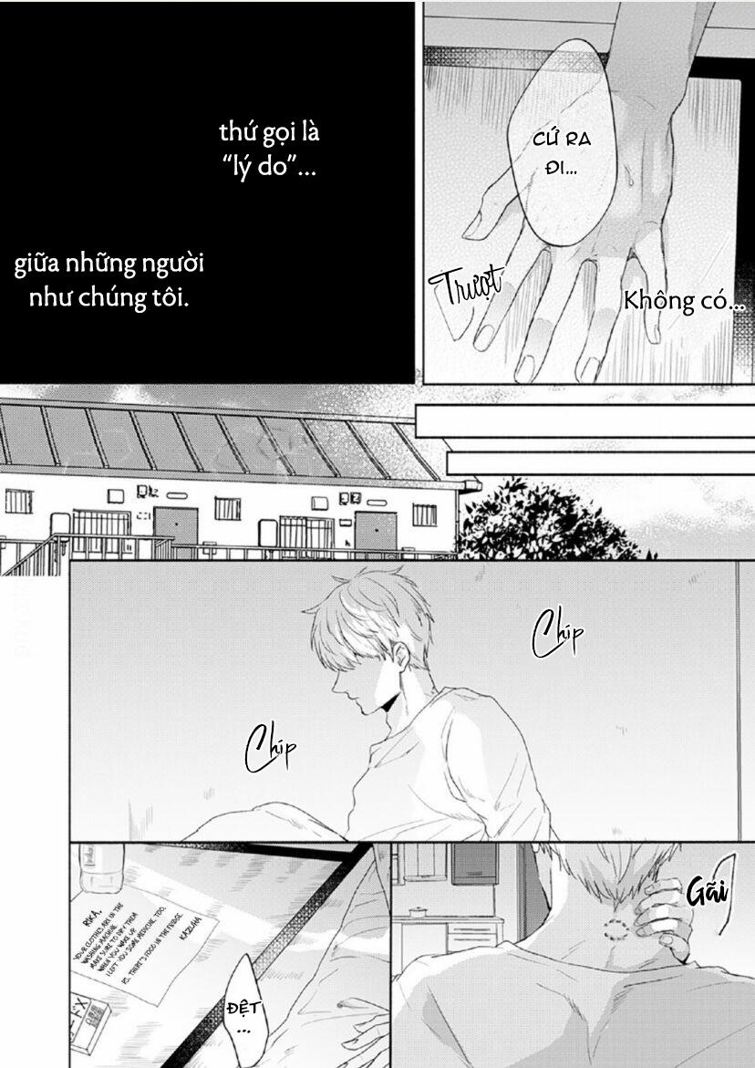 Vết Cắn Tình Đầu 3 trang 5