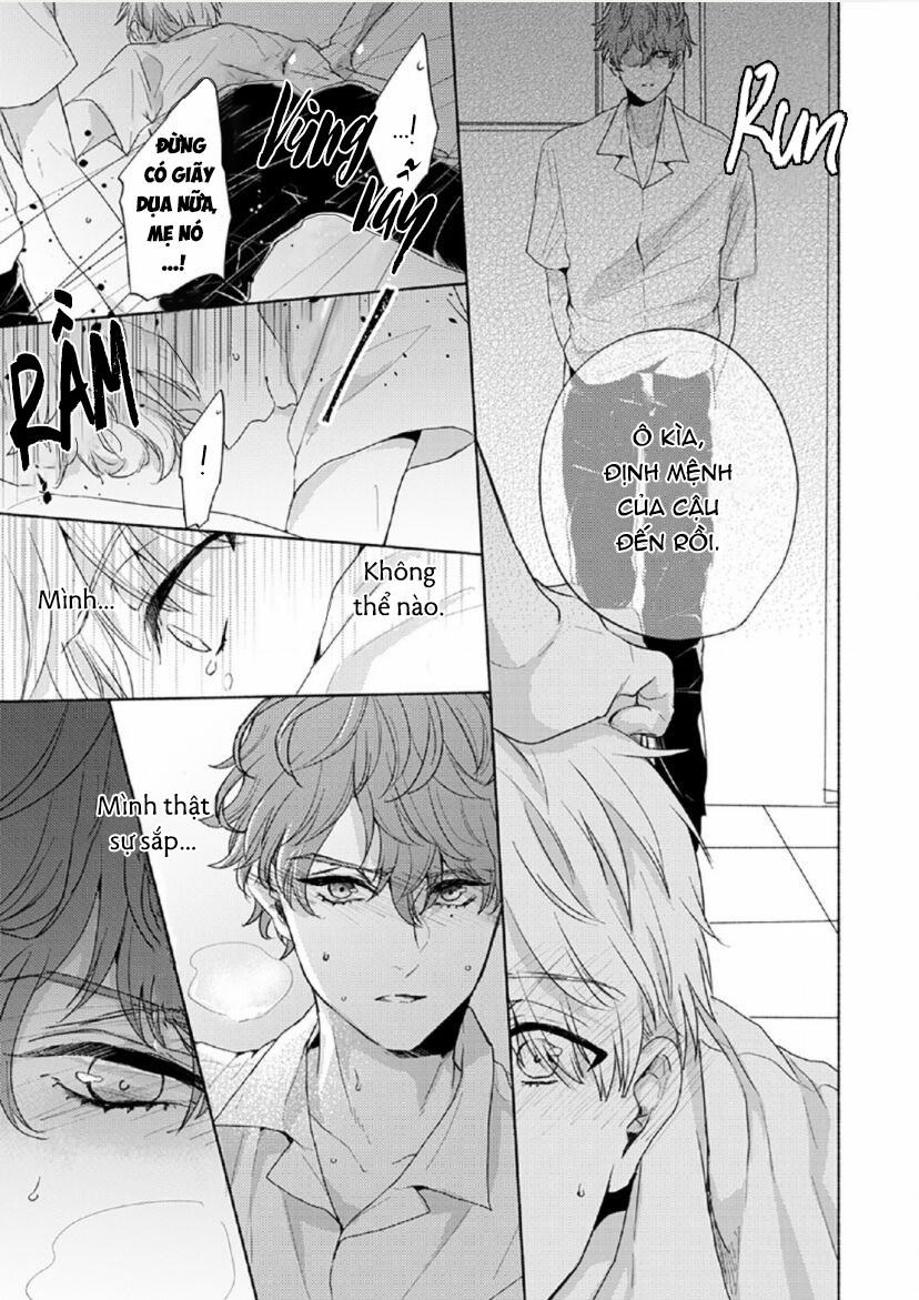 Vết Cắn Tình Đầu 4 trang 10