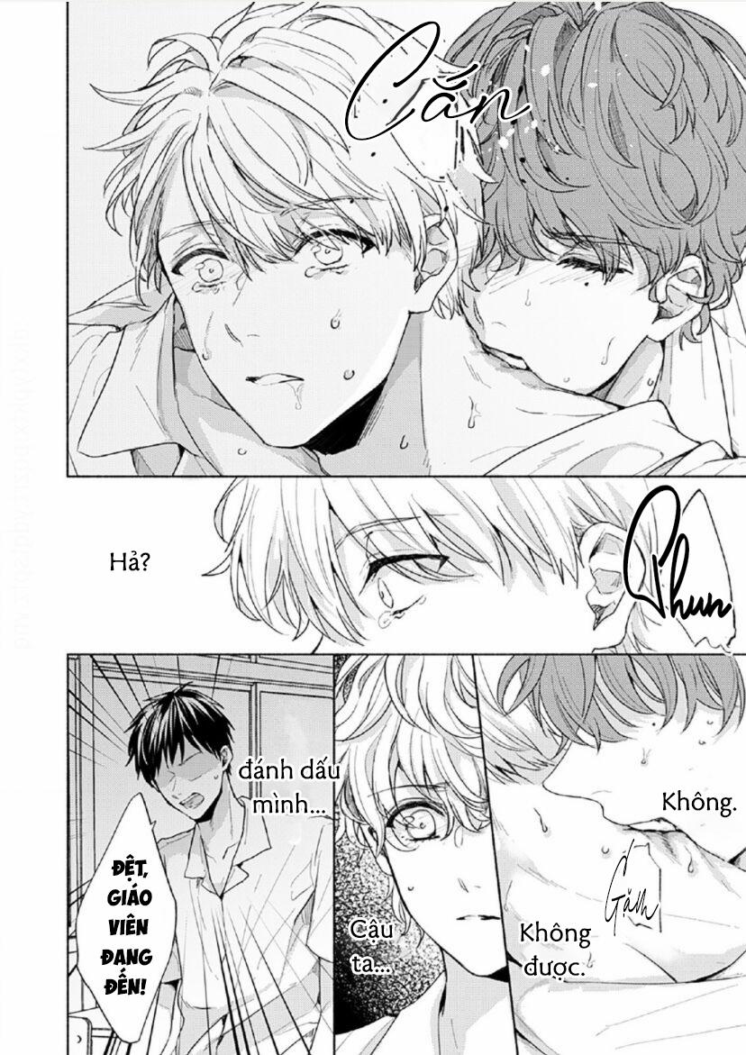 Vết Cắn Tình Đầu 4 trang 17