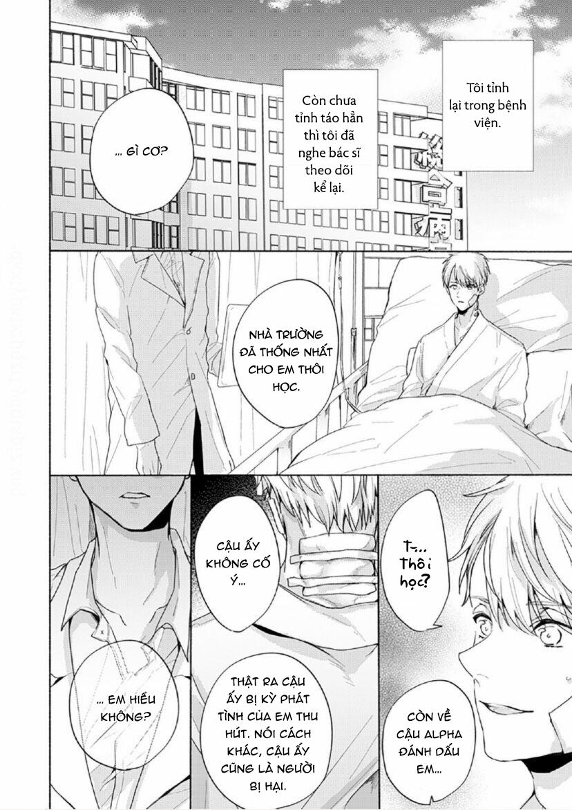 Vết Cắn Tình Đầu 4 trang 19