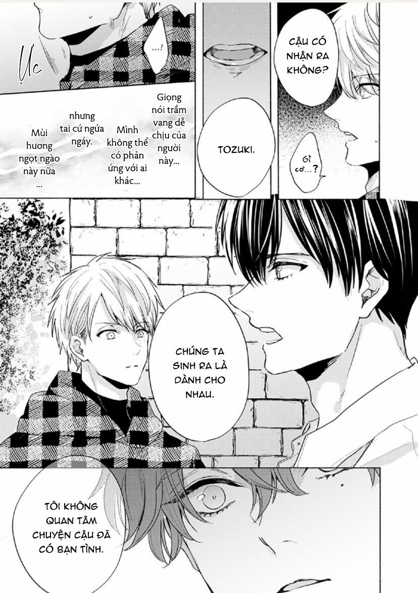 Vết Cắn Tình Đầu 4 trang 22