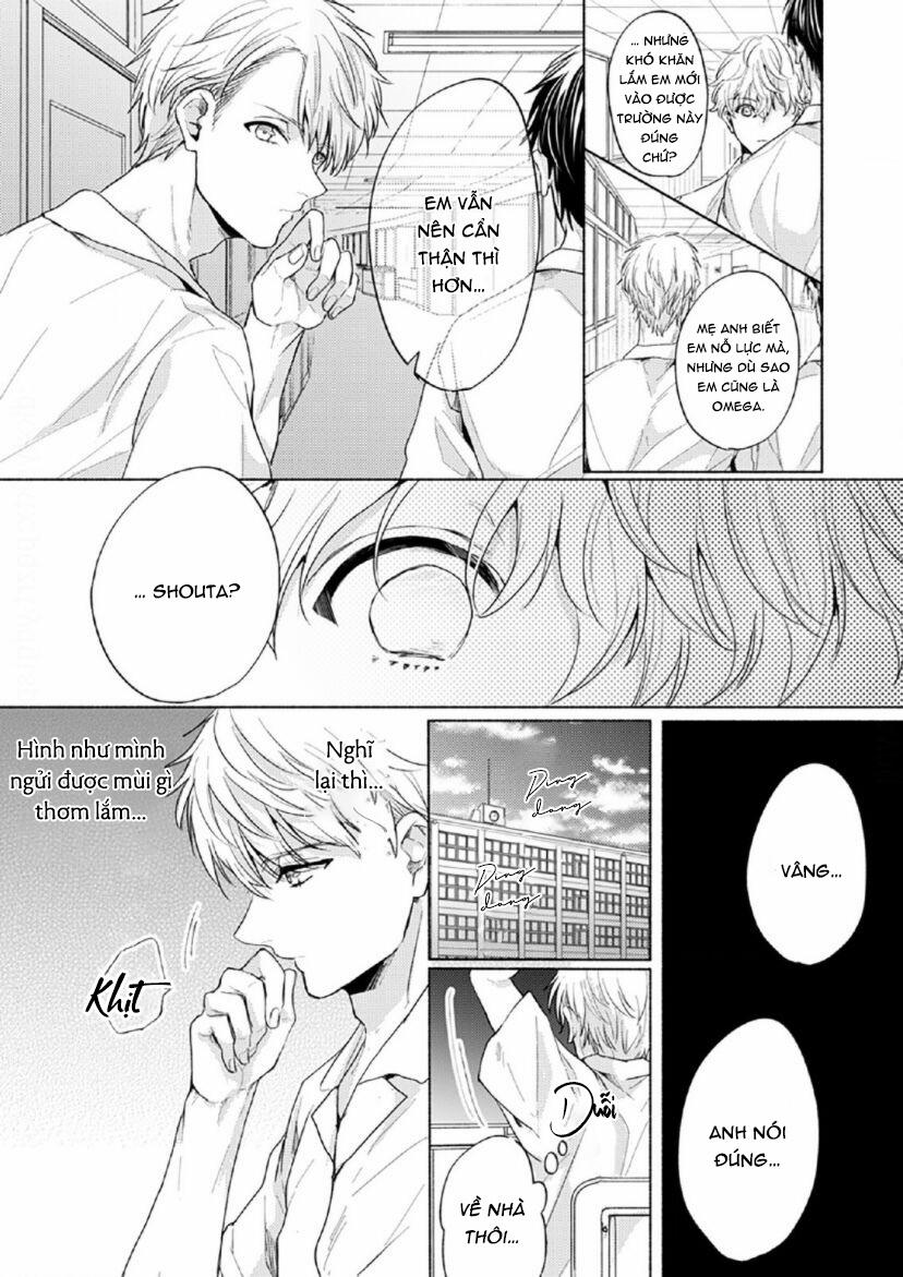 Vết Cắn Tình Đầu 4 trang 5