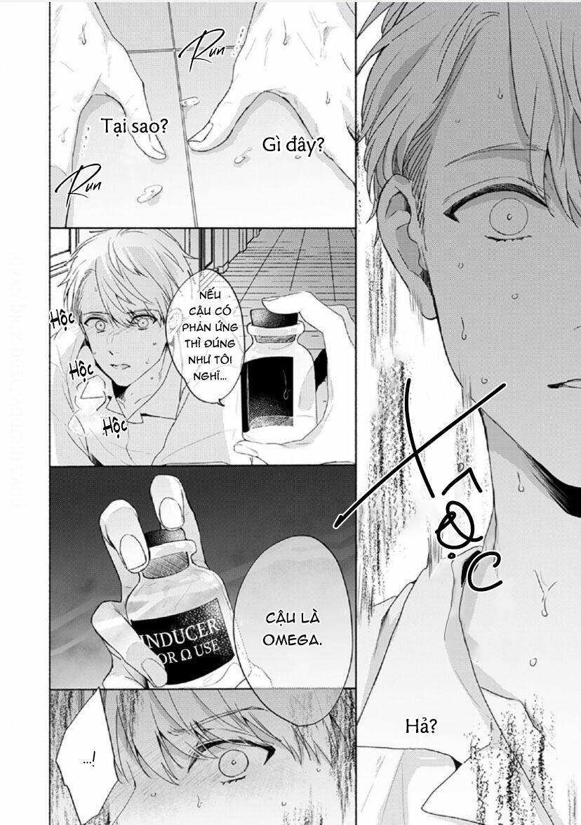 Vết Cắn Tình Đầu 4 trang 7