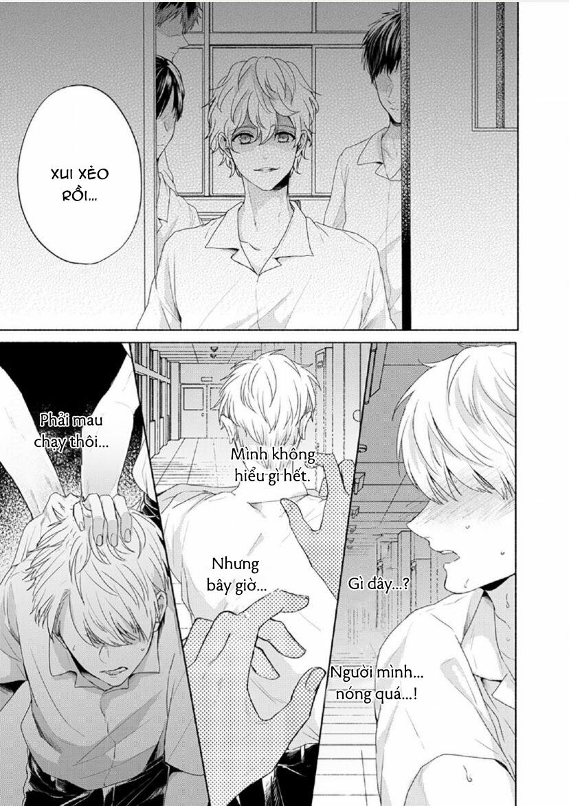 Vết Cắn Tình Đầu 4 trang 8