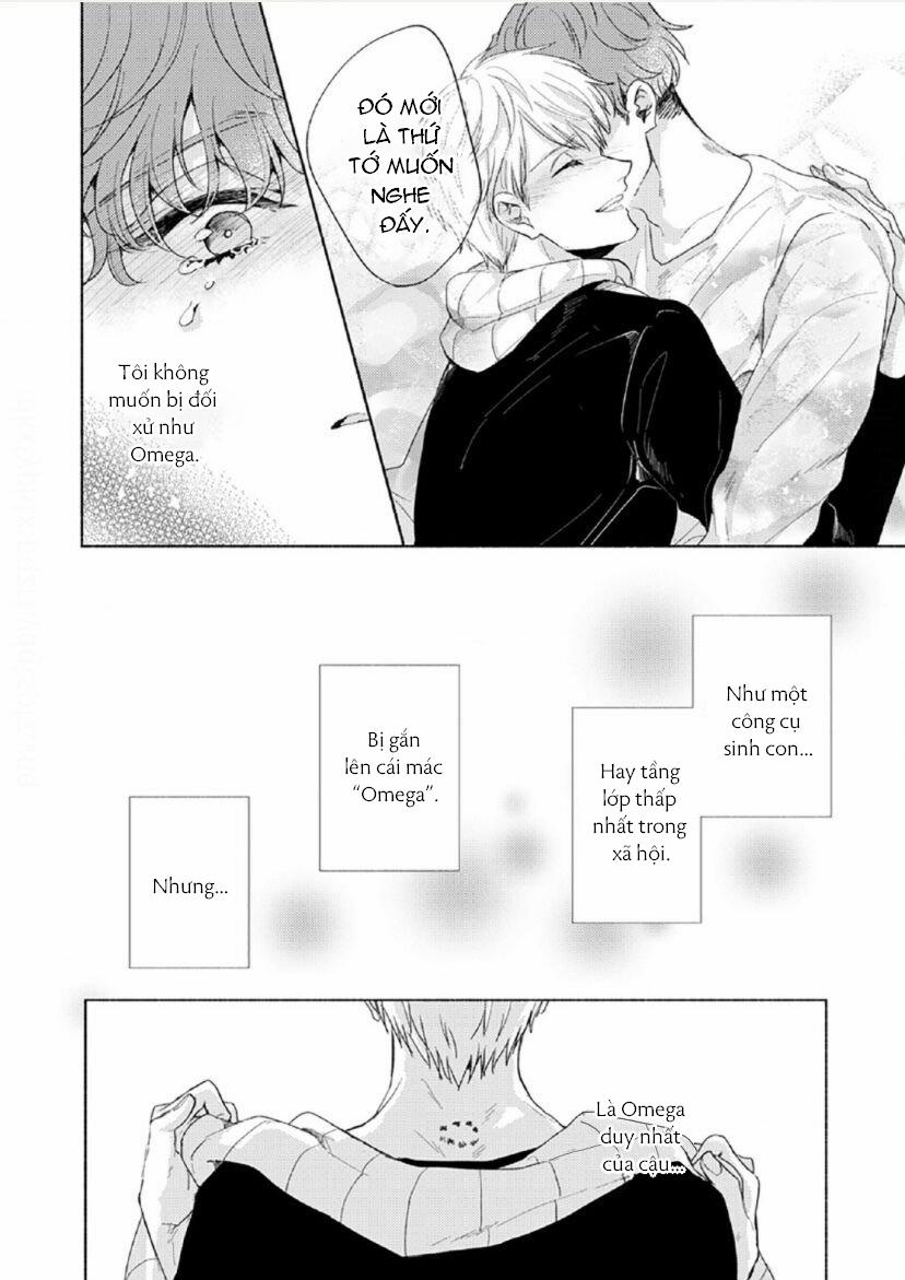 Vết Cắn Tình Đầu 6 trang 11