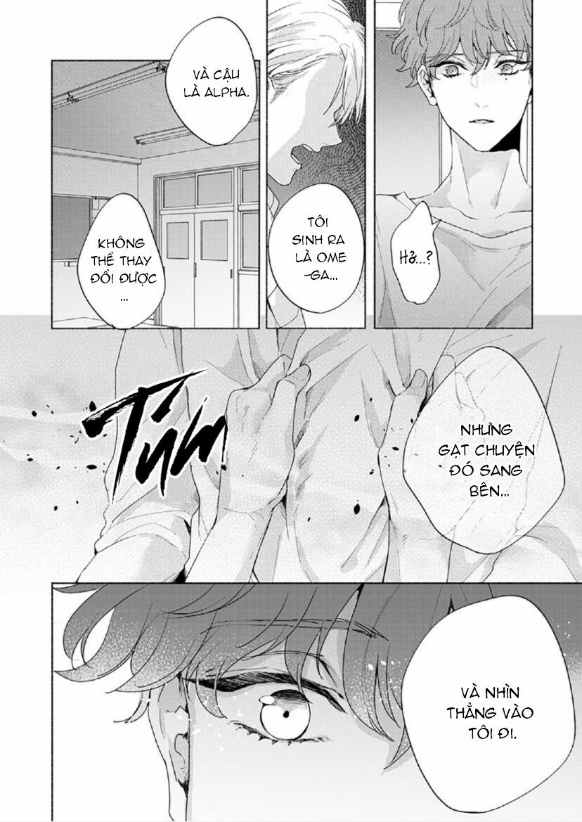 Vết Cắn Tình Đầu 6 trang 7