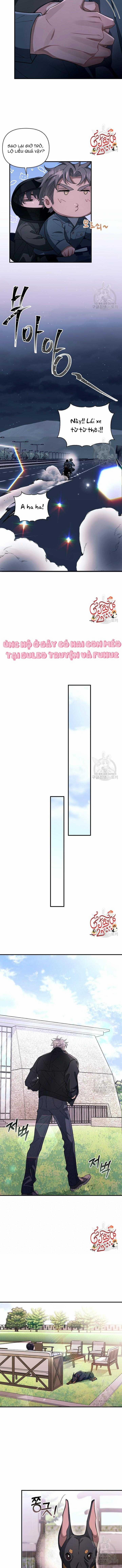 Vết Cắn Tình Yêu 27 trang 3