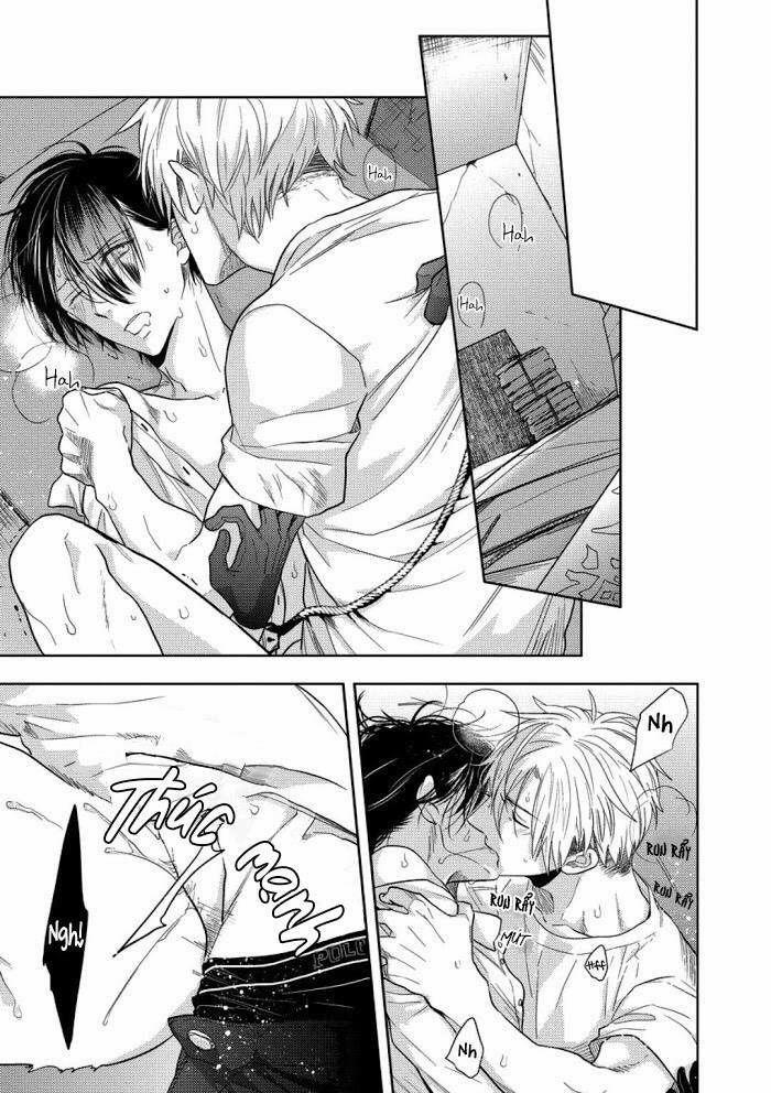 Vết Cắn Tình Yêu 4 trang 11