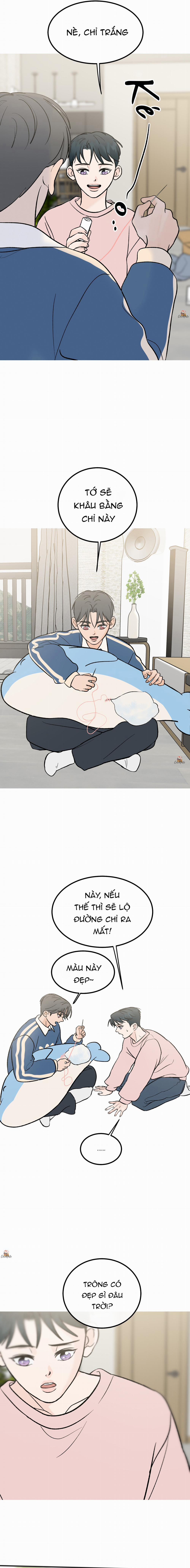 Vết Đỏ 12 trang 2