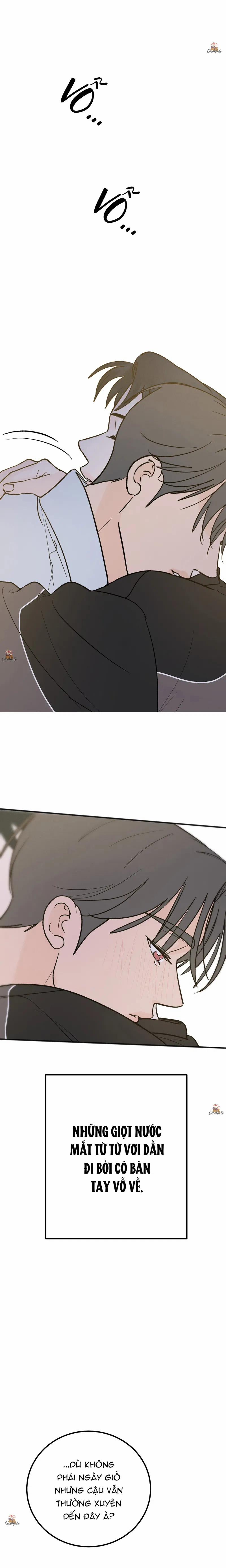 Vết Đỏ 15 trang 0