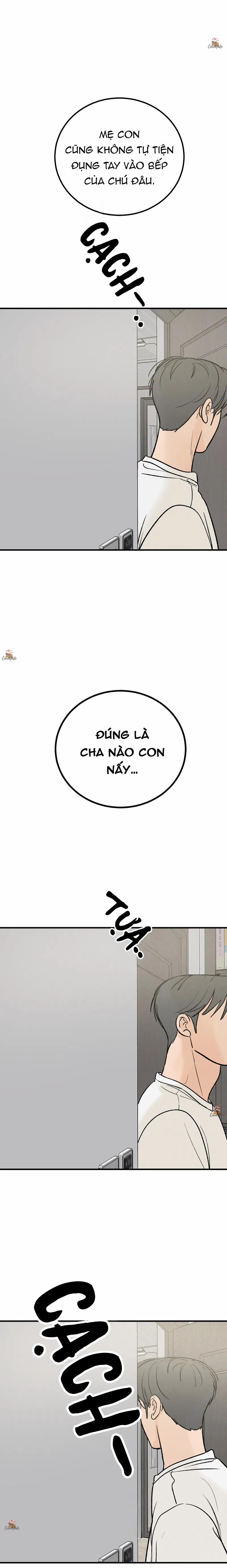 Vết Đỏ 15 trang 23