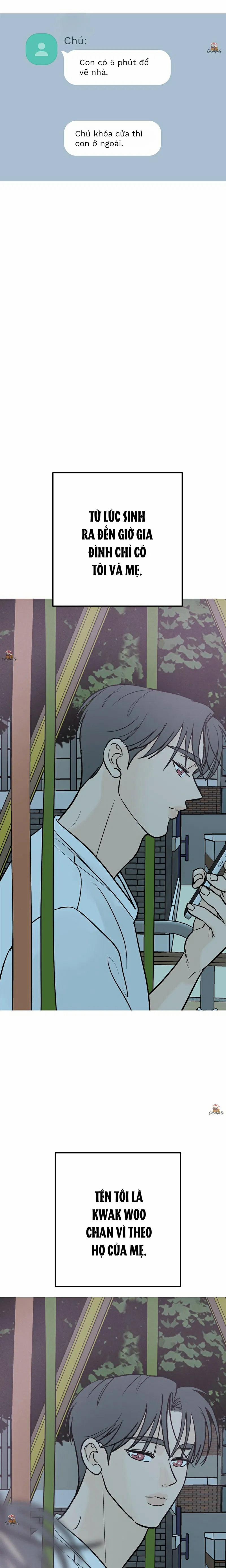 Vết Đỏ 16 trang 11