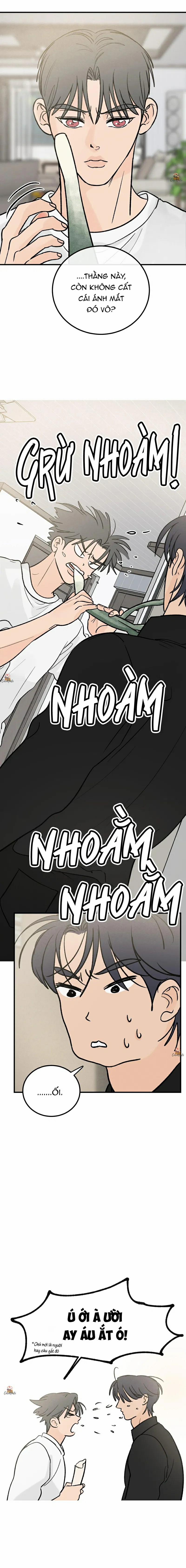 Vết Đỏ 16 trang 5