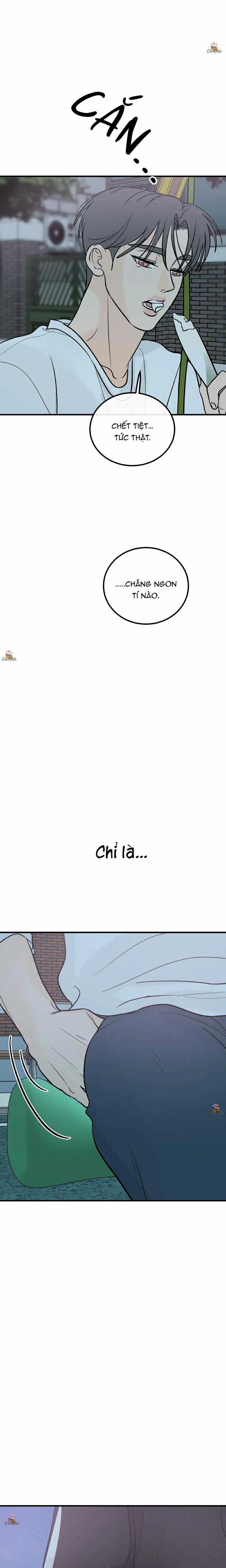 Vết Đỏ 16 trang 7