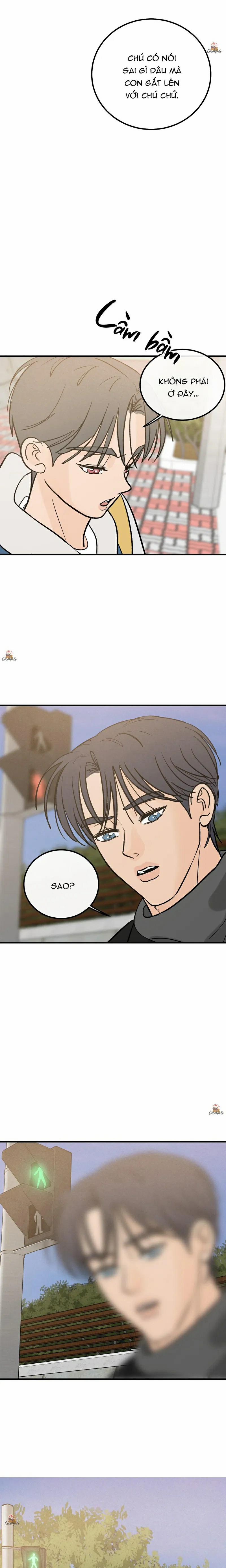 Vết Đỏ 17 trang 1