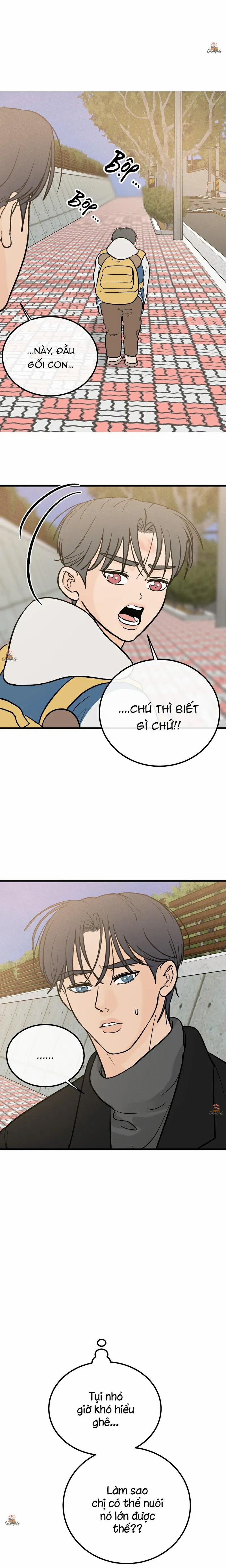 Vết Đỏ 17 trang 3