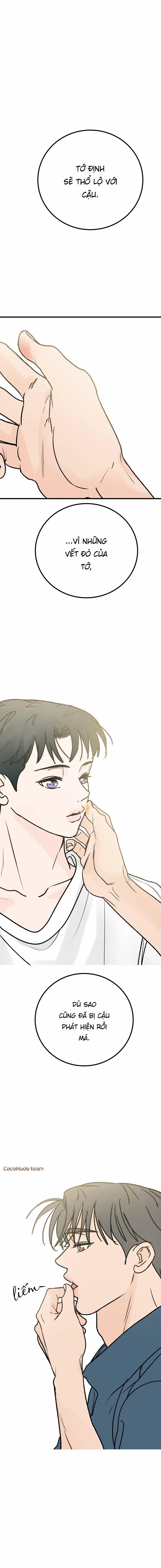 Vết Đỏ 31 trang 8