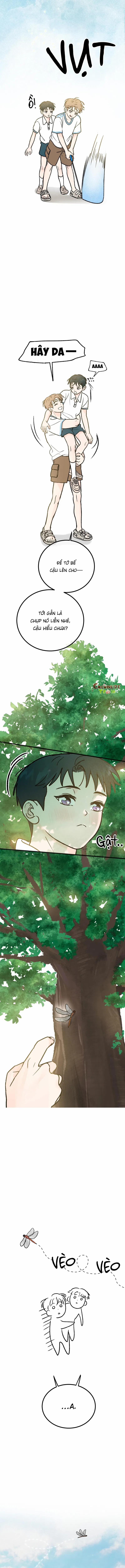 Vết Đỏ 36 trang 7