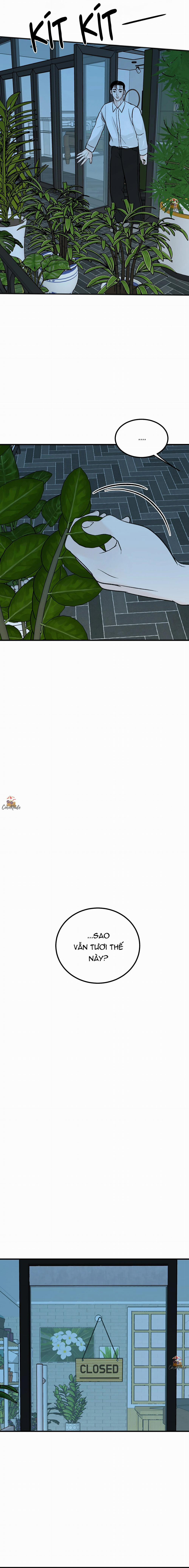 Vết Đỏ 9 trang 15