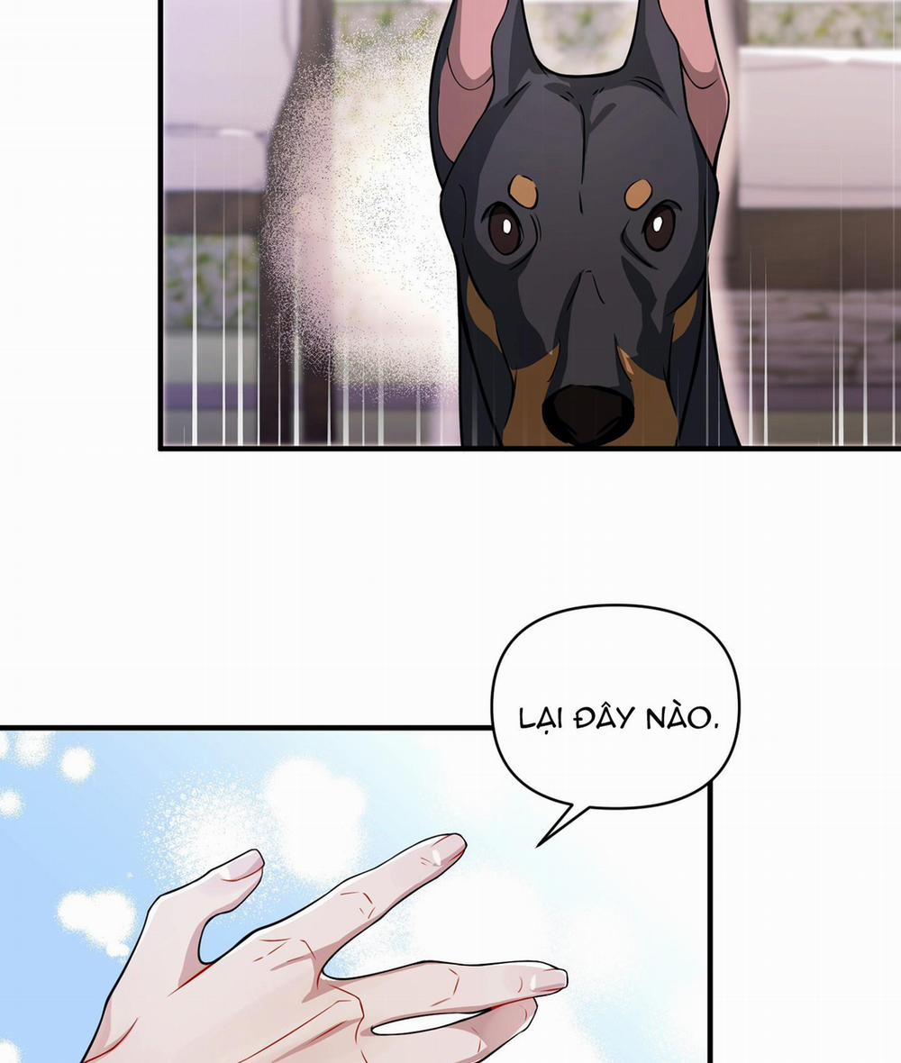 Vết Hằn 27 trang 43