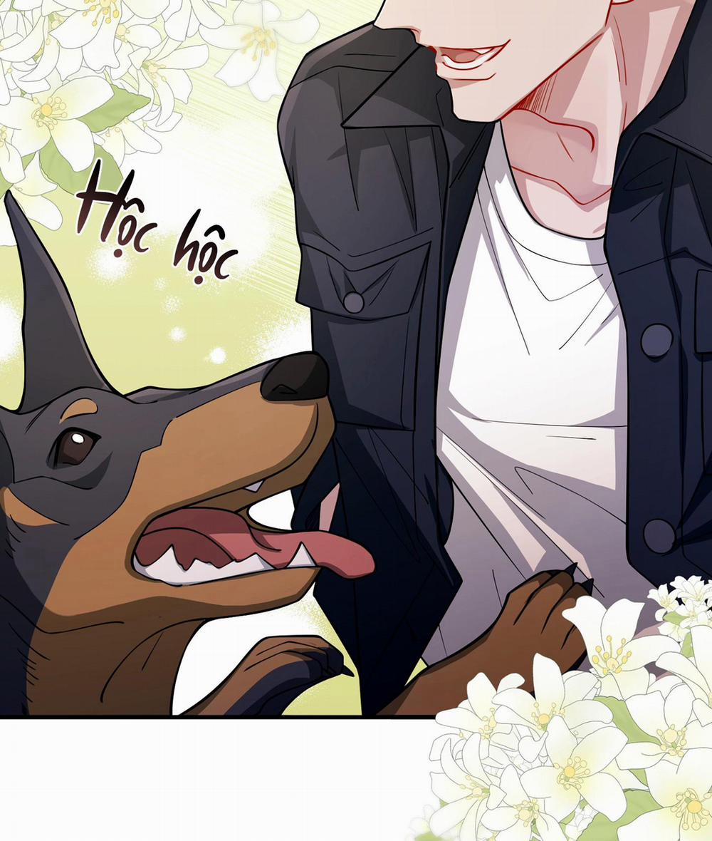 Vết Hằn 27 trang 46