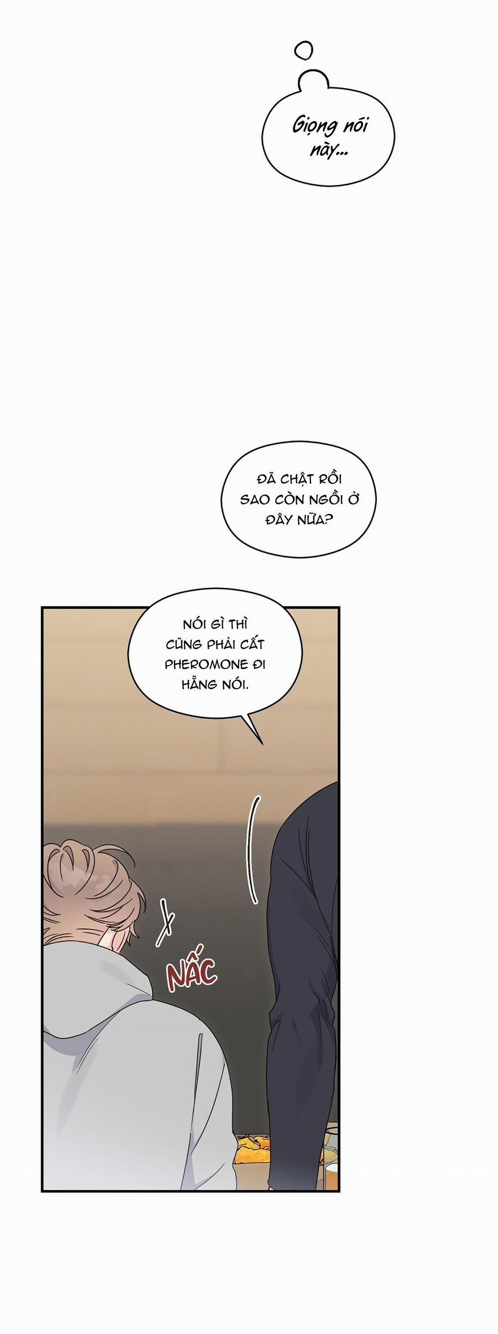 ✿ Vết Thương Alpha ✿ 3 trang 32