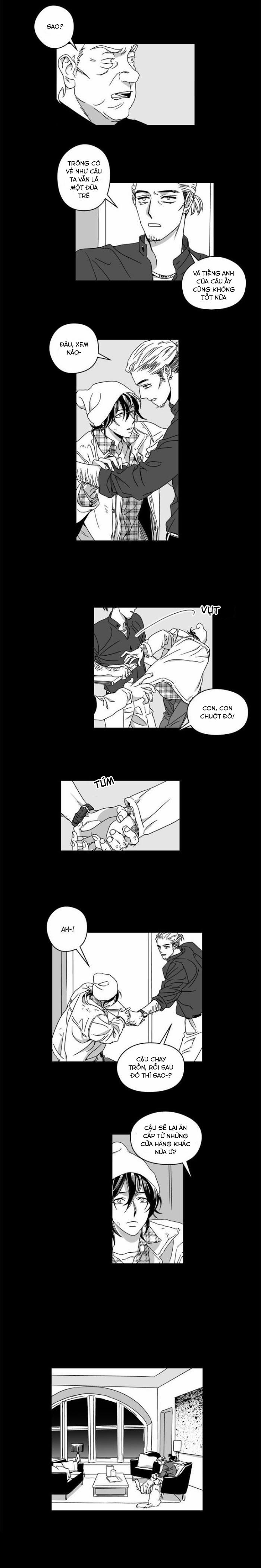 Vết Thương Lòng 11 trang 1