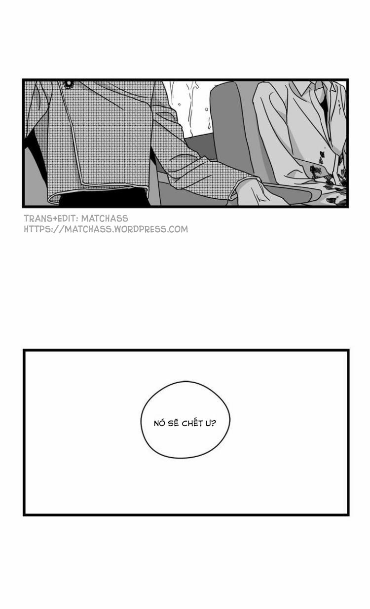 Vết Thương Lòng 22 trang 2