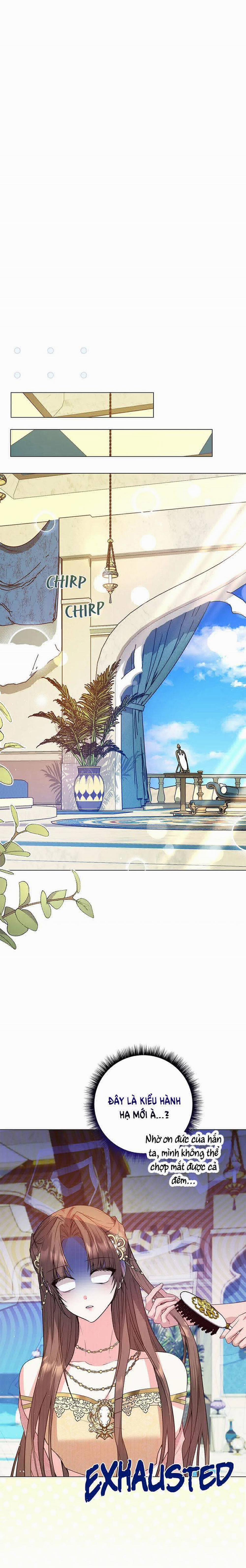 Vết Trăng 11.2 trang 8