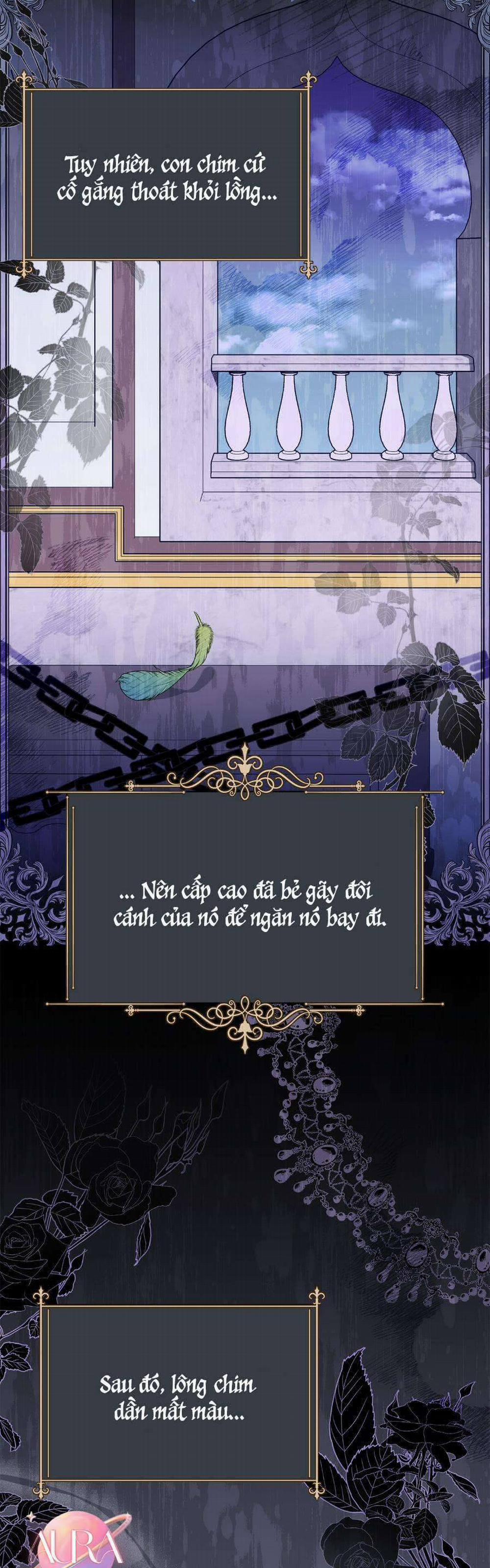 Vết Trăng 28 trang 11