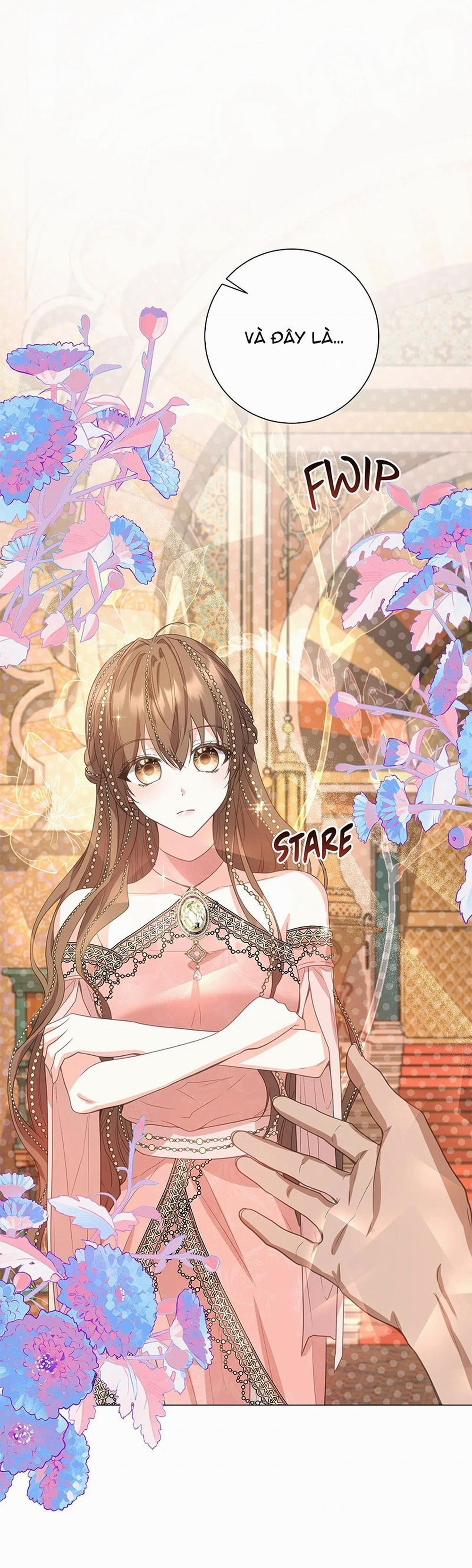 Vết Trăng 6.1 trang 22