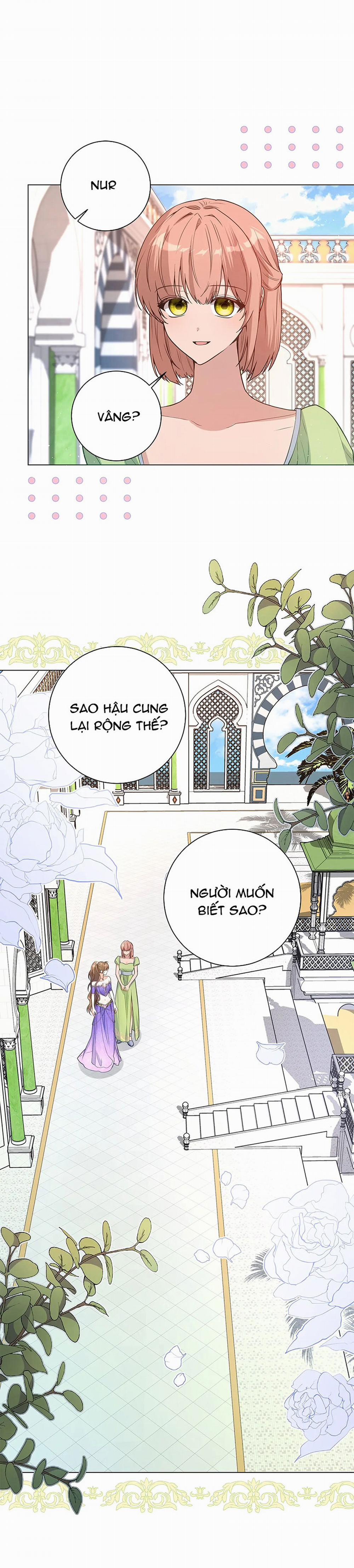 Vết Trăng 8.1 trang 20