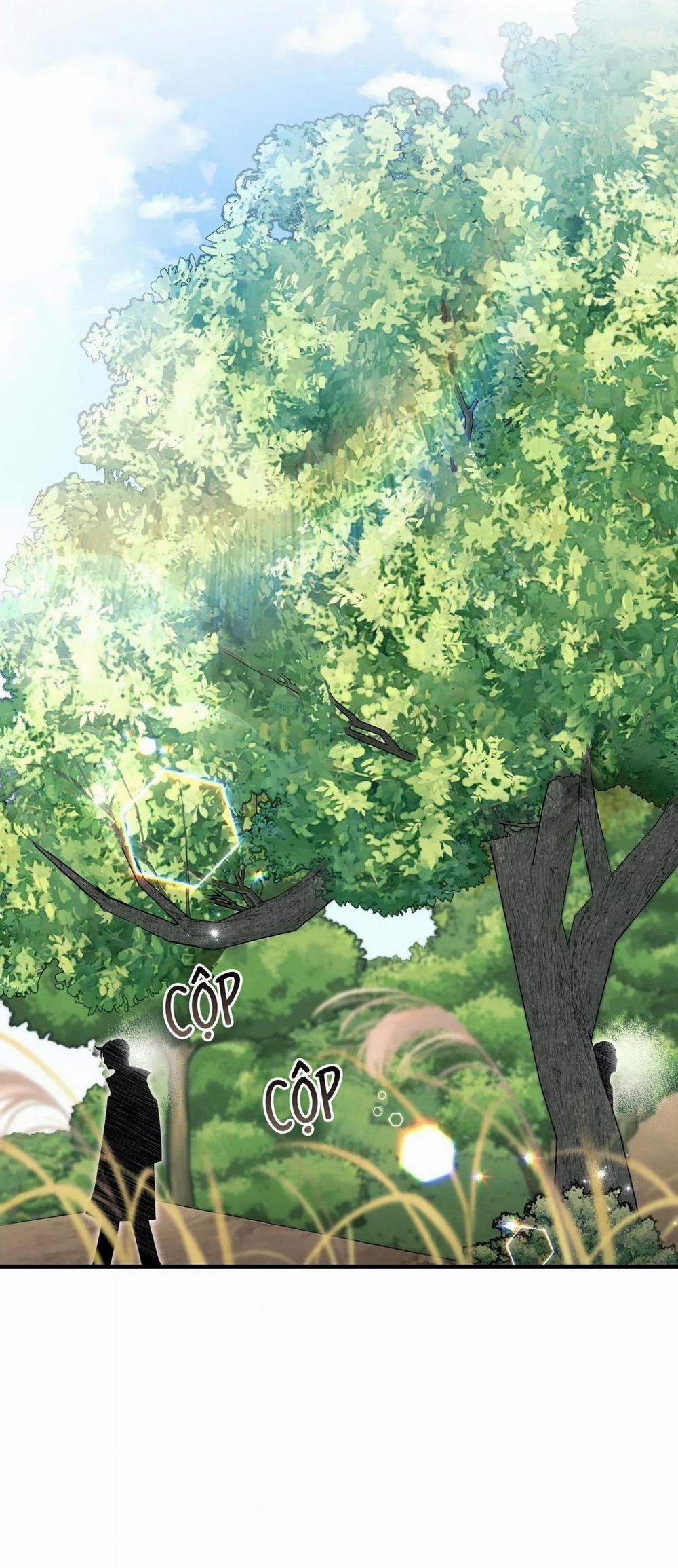 Vết Trượt 29 trang 5