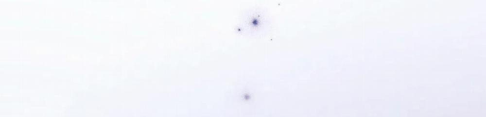 Vết Trượt 7 trang 83