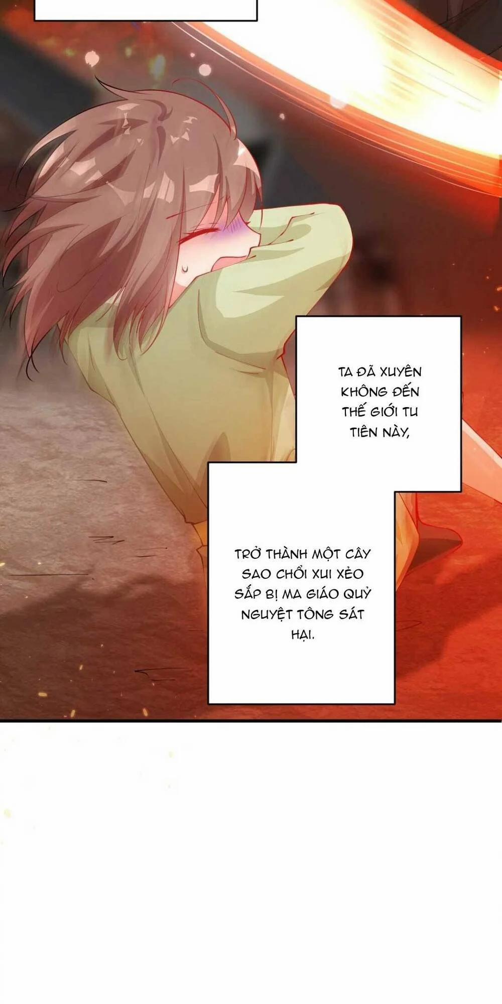 Vì Cứu Sư Tôn Ta Buộc Phải Mở Hậu Cung 1 trang 19