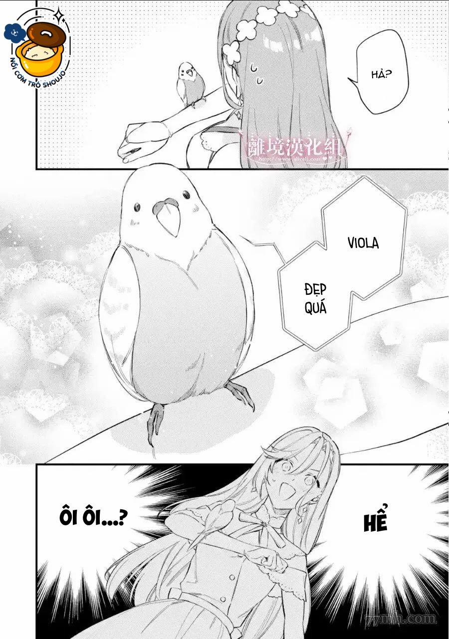 Vì Để Hủy Bỏ Hôn Ước Tôi Đã Giả Vờ Mất Trí 9.2 trang 17