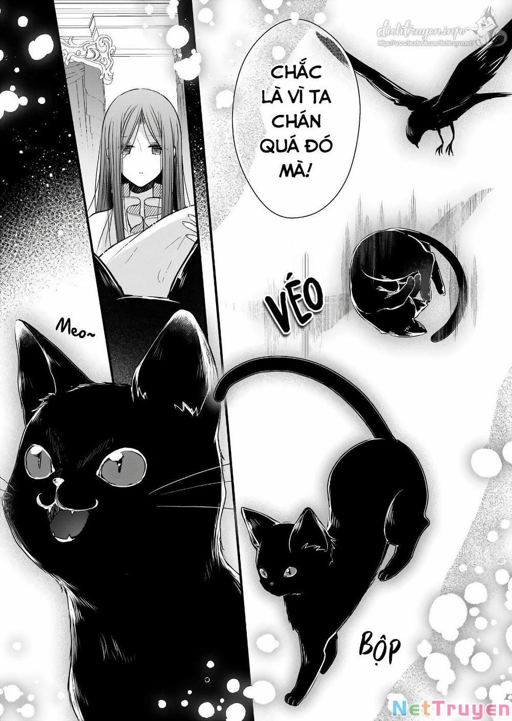 Vị Hôn Phu Của Tôi Đã Rơi Vào Lưới Tình Với Em Gái 6 trang 6