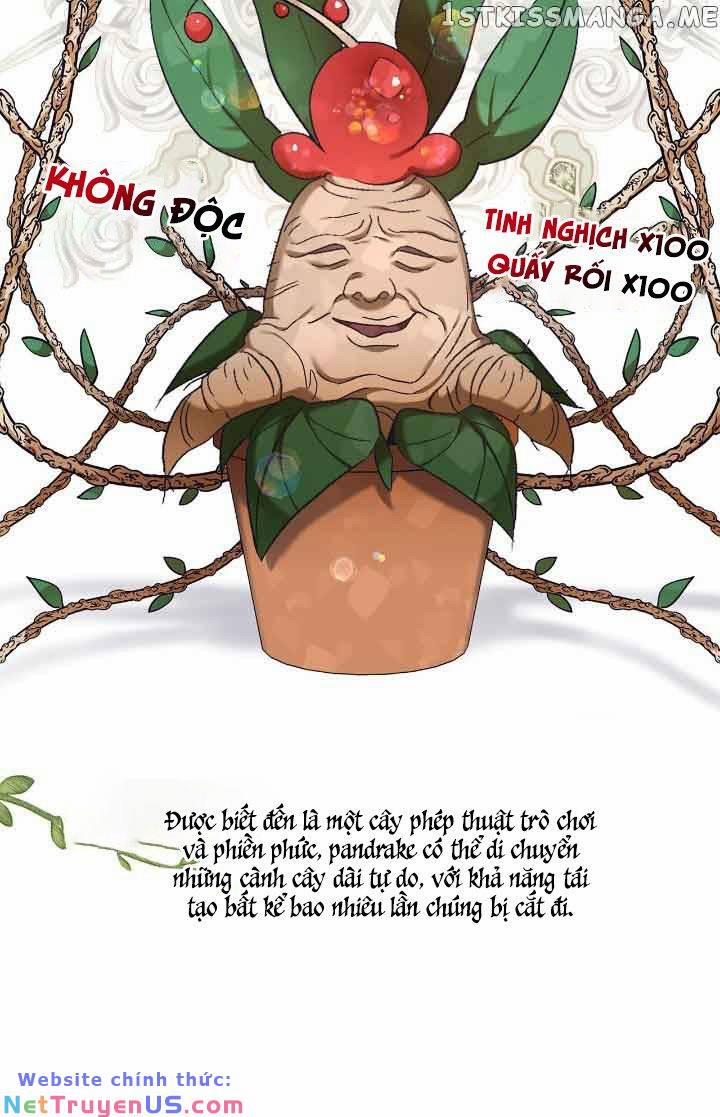 Vì Kết Cục Có Hậu Cho Cuốn Tiểu Thuyết Bi Kịch 19 trang 25