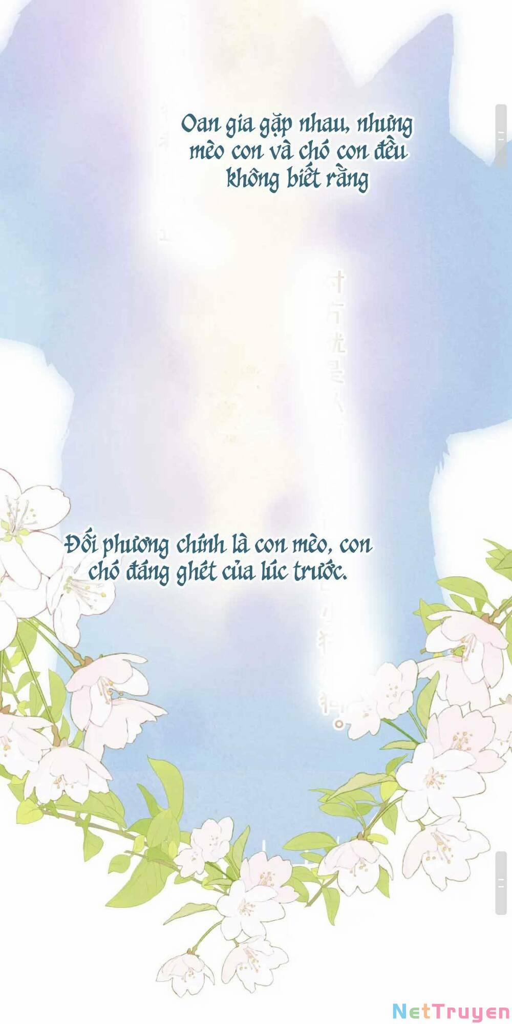 Vi Phu Của Ta Là Long Ngạo Thiên Phần 2 2 trang 10