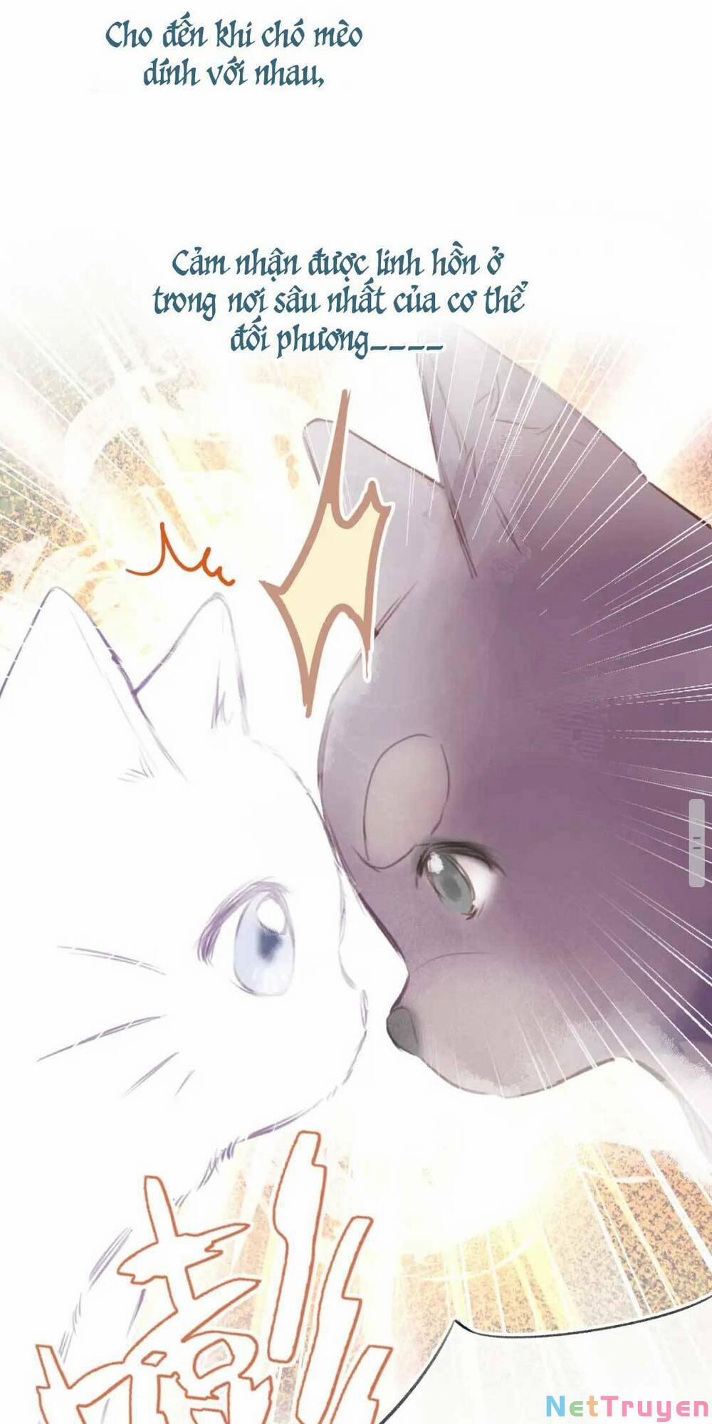 Vi Phu Của Ta Là Long Ngạo Thiên Phần 2 2 trang 11