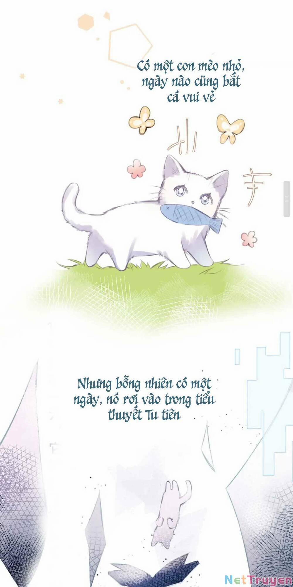 Vi Phu Của Ta Là Long Ngạo Thiên Phần 2 2 trang 3