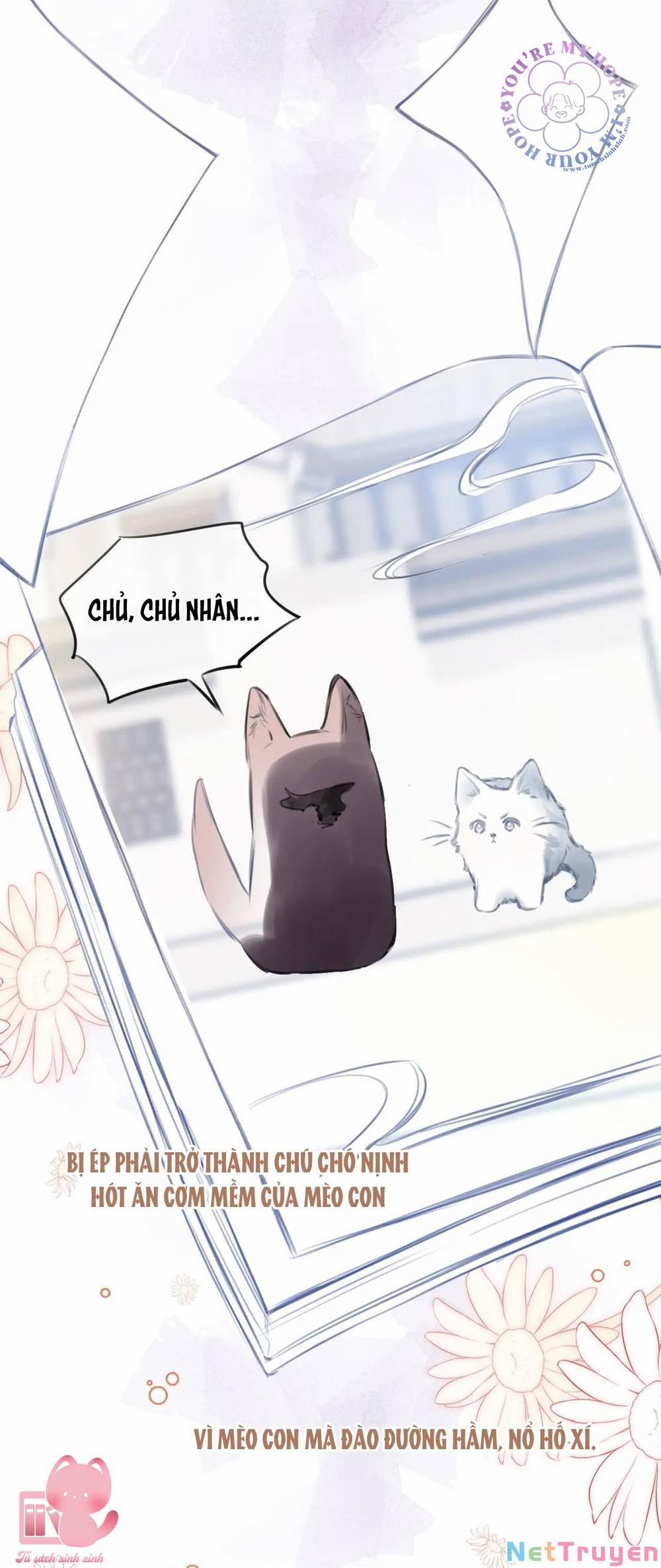 Vi Phu Của Ta Là Long Ngạo Thiên 32 trang 8