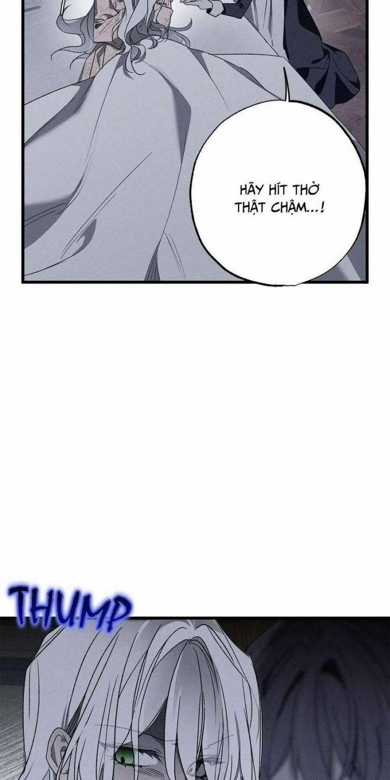 Vị Phu Quân Căm Ghét Tôi Đã Mất Trí Nhớ 13 trang 5