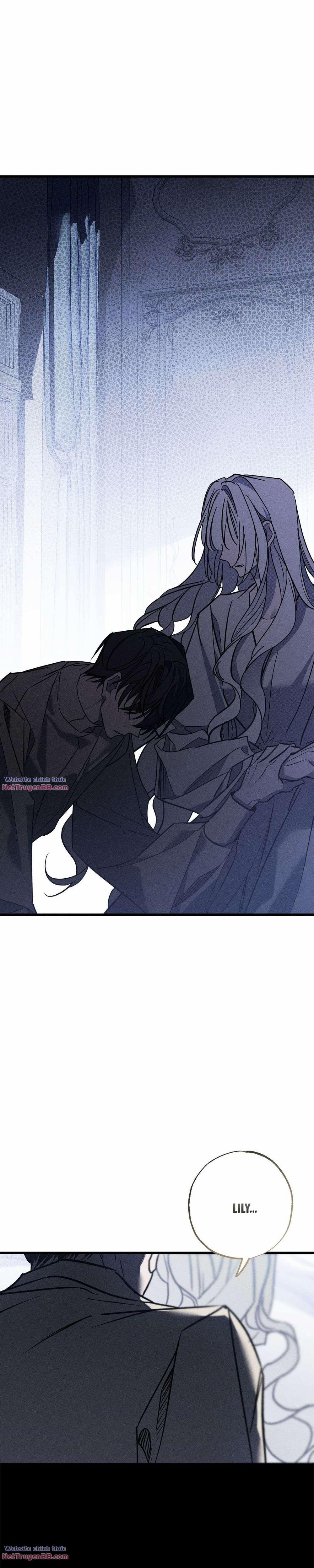 Vị Phu Quân Căm Ghét Tôi Đã Mất Trí Nhớ 27 trang 18