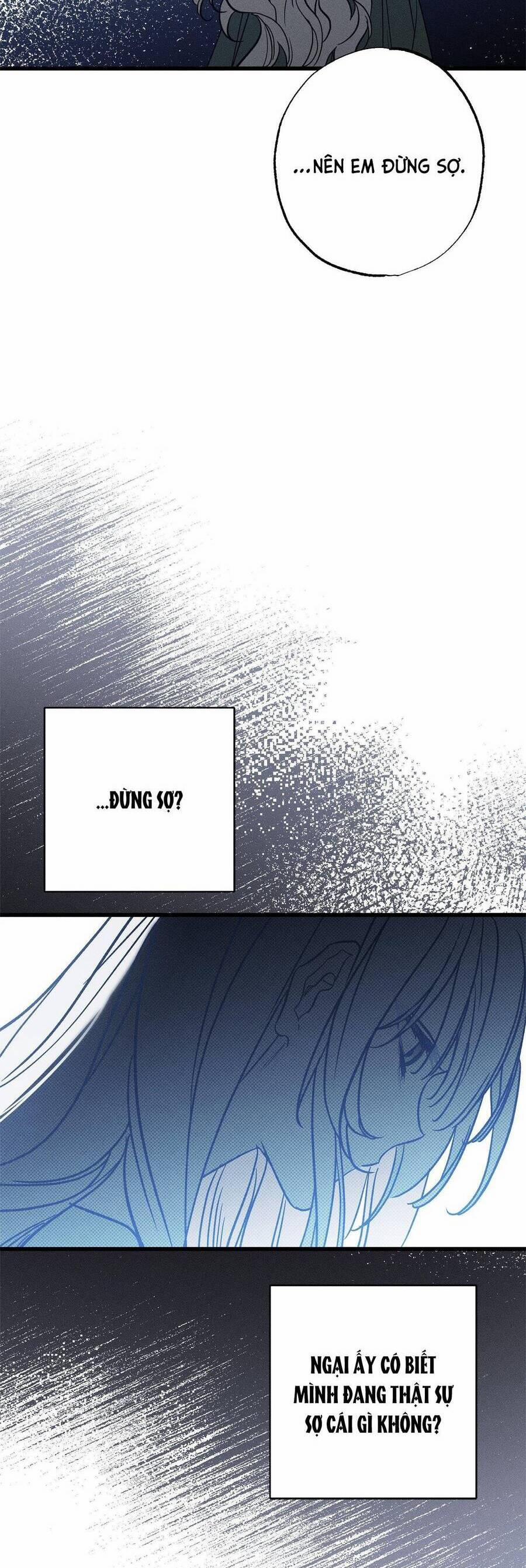 Vị Phu Quân Căm Ghét Tôi Đã Mất Trí Nhớ 28 trang 11