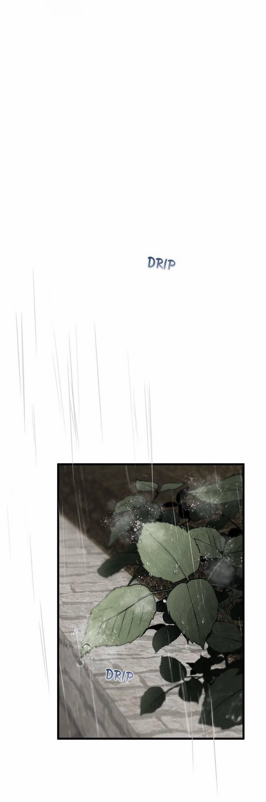 Vị Phu Quân Căm Ghét Tôi Đã Mất Trí Nhớ 28 trang 22