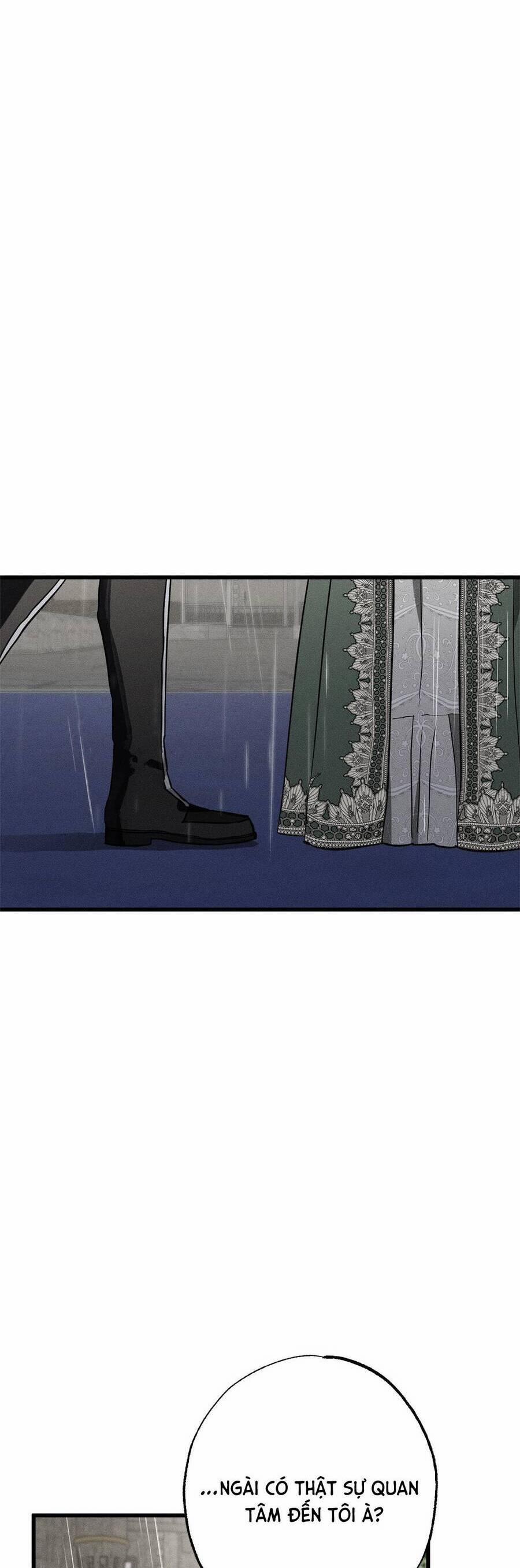 Vị Phu Quân Căm Ghét Tôi Đã Mất Trí Nhớ 28 trang 23