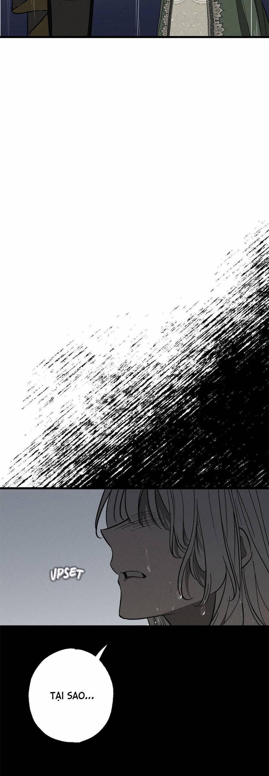 Vị Phu Quân Căm Ghét Tôi Đã Mất Trí Nhớ 28 trang 30